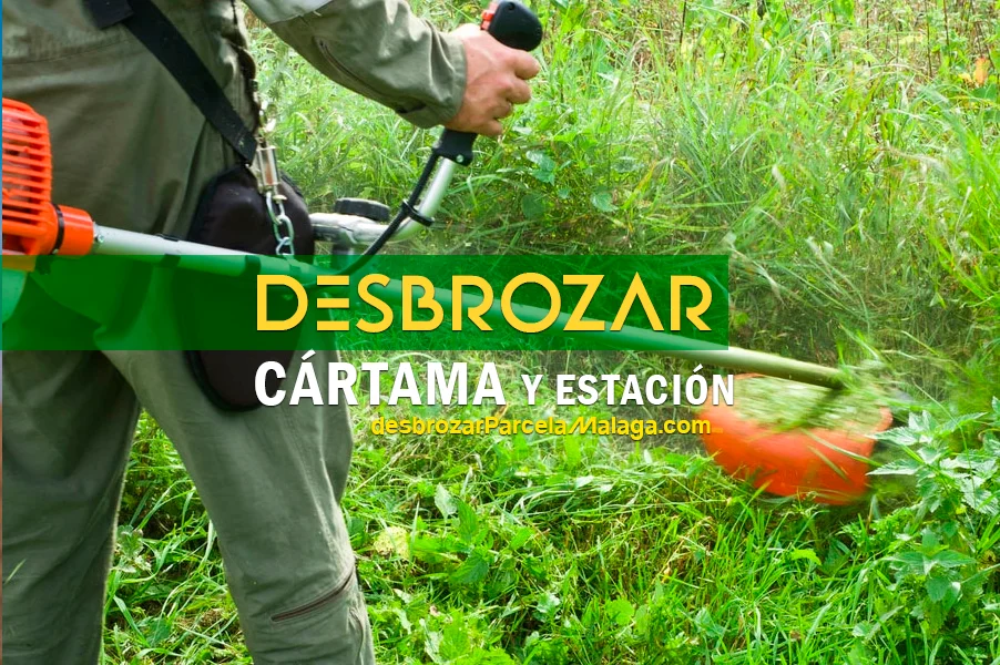 desbrozar parcela CARTAMA y estacion -w (1)